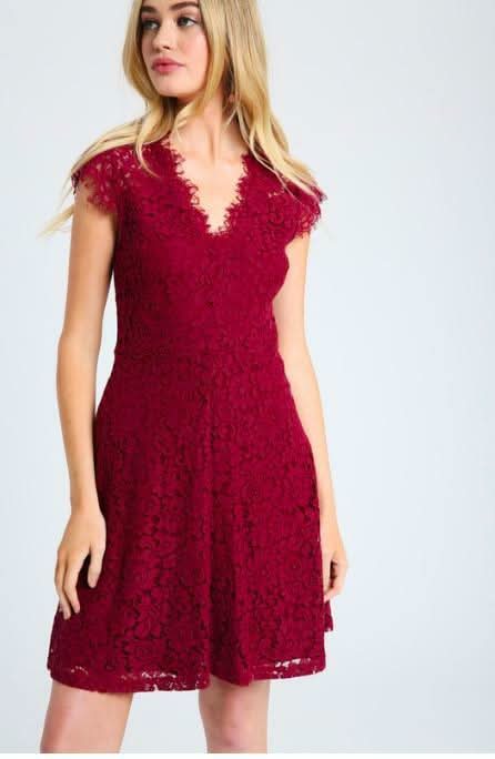 Selma Burgundy Lace Skater Dress
